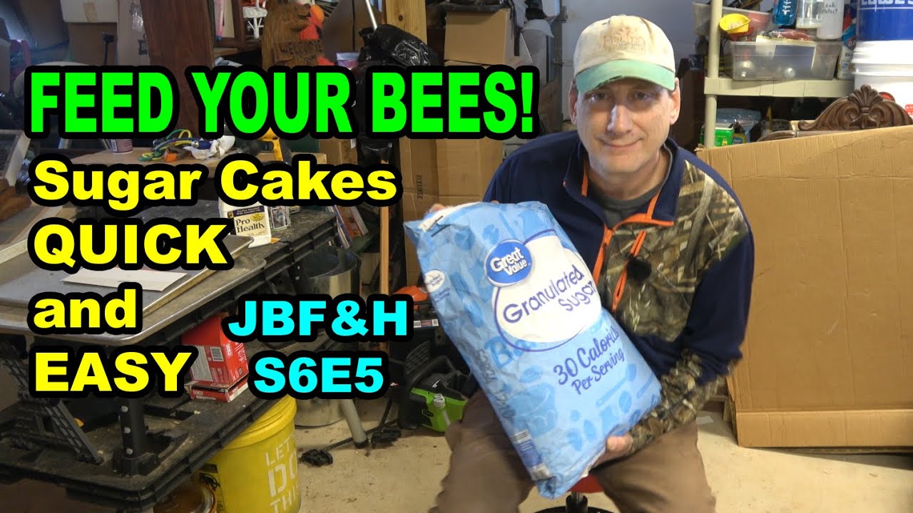 Quick and Easy Sugar Cakes S6E5 #beekeeping