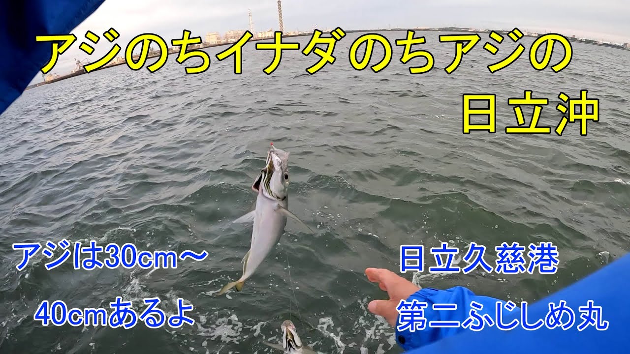 日立沖の5月末は，アジのちイナダのちアジ，アジはデカいよ【日立久慈港第二ふじしめ丸】