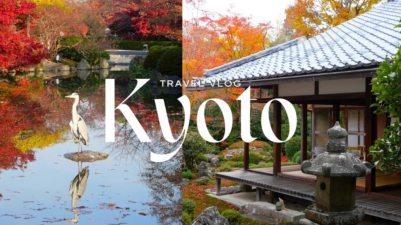 Kyoto solo trip  in Autumn 🍁 | Calm Places, Little Moments I Love🍵