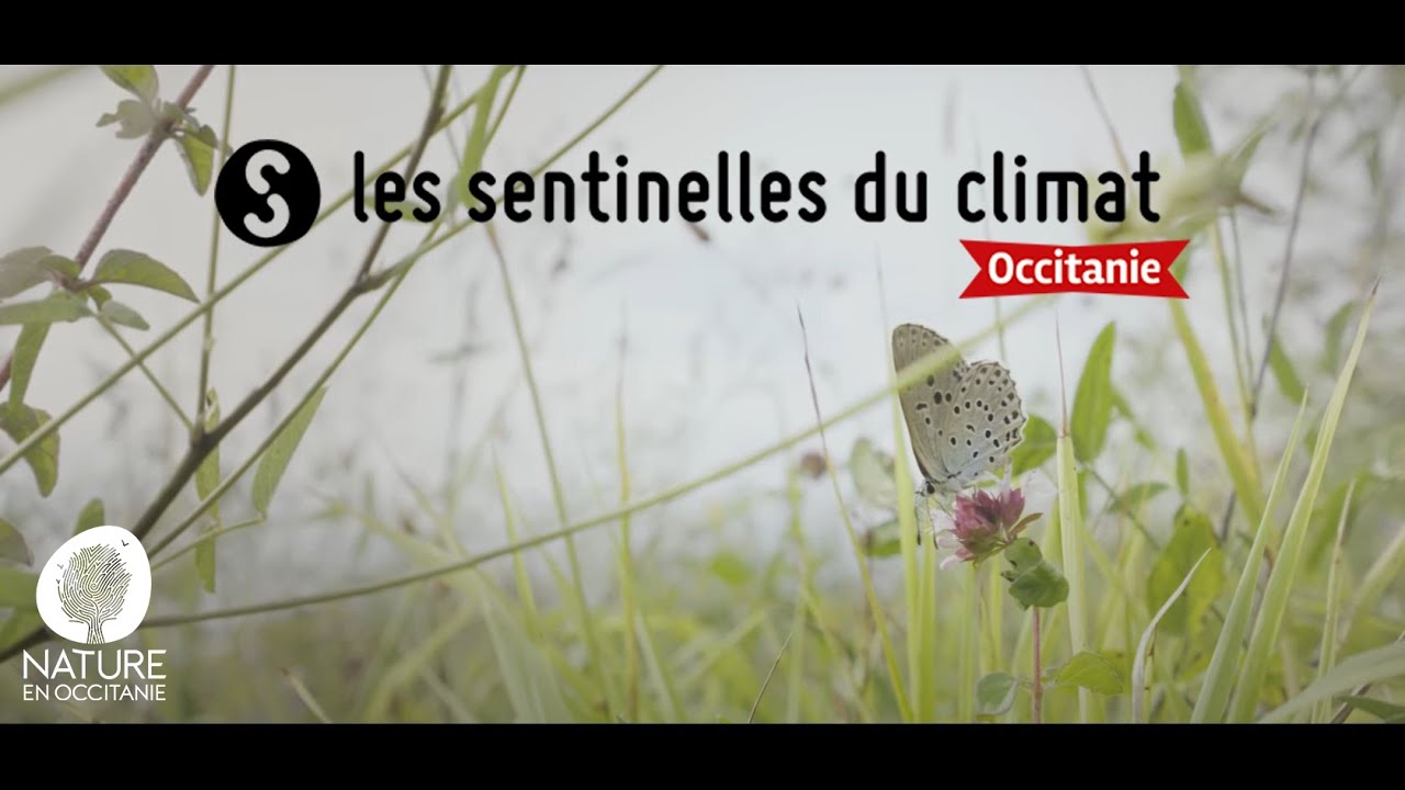 Programme les sentinelles du climat en Occitanie - présentation
