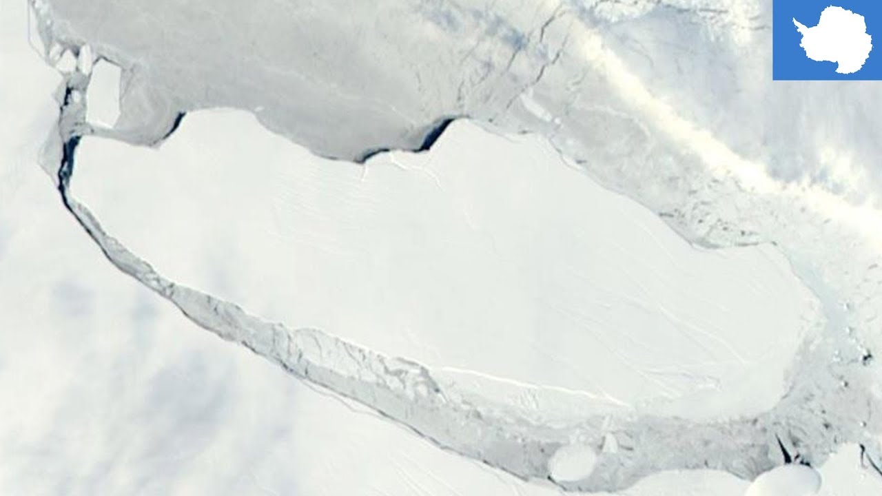 Massive Antarctic iceberg the size of Delaware is not floating at sea - TomoNews