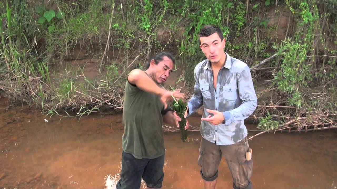 BOLIVIE : trek de SURVIE en AMAZONIE -1-  trouver à manger