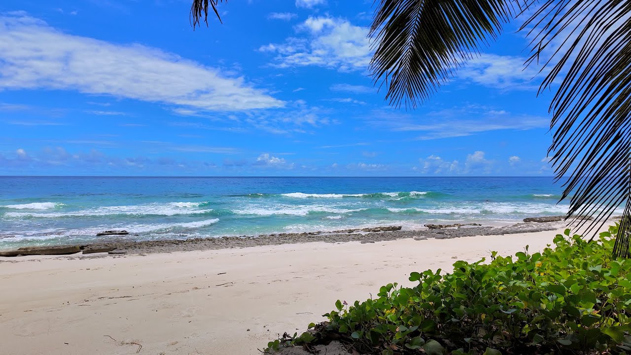 🏝 Best Ocean Sounds for Rest, Relaxation and Sleep