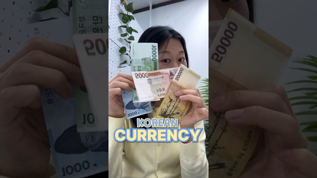 Korean Currency 💵
