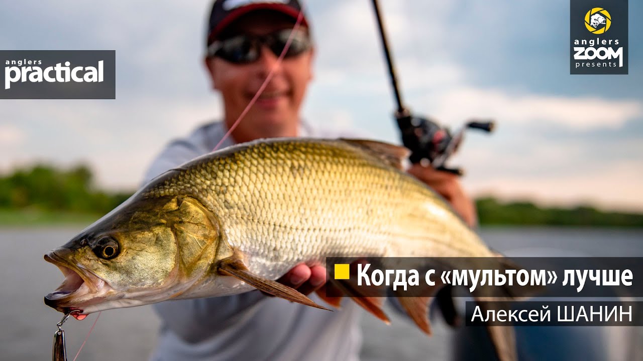 Когда с 