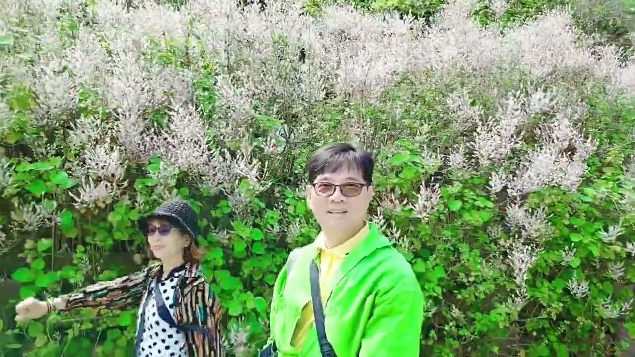 胡財源=清水溝(麝香木花道)