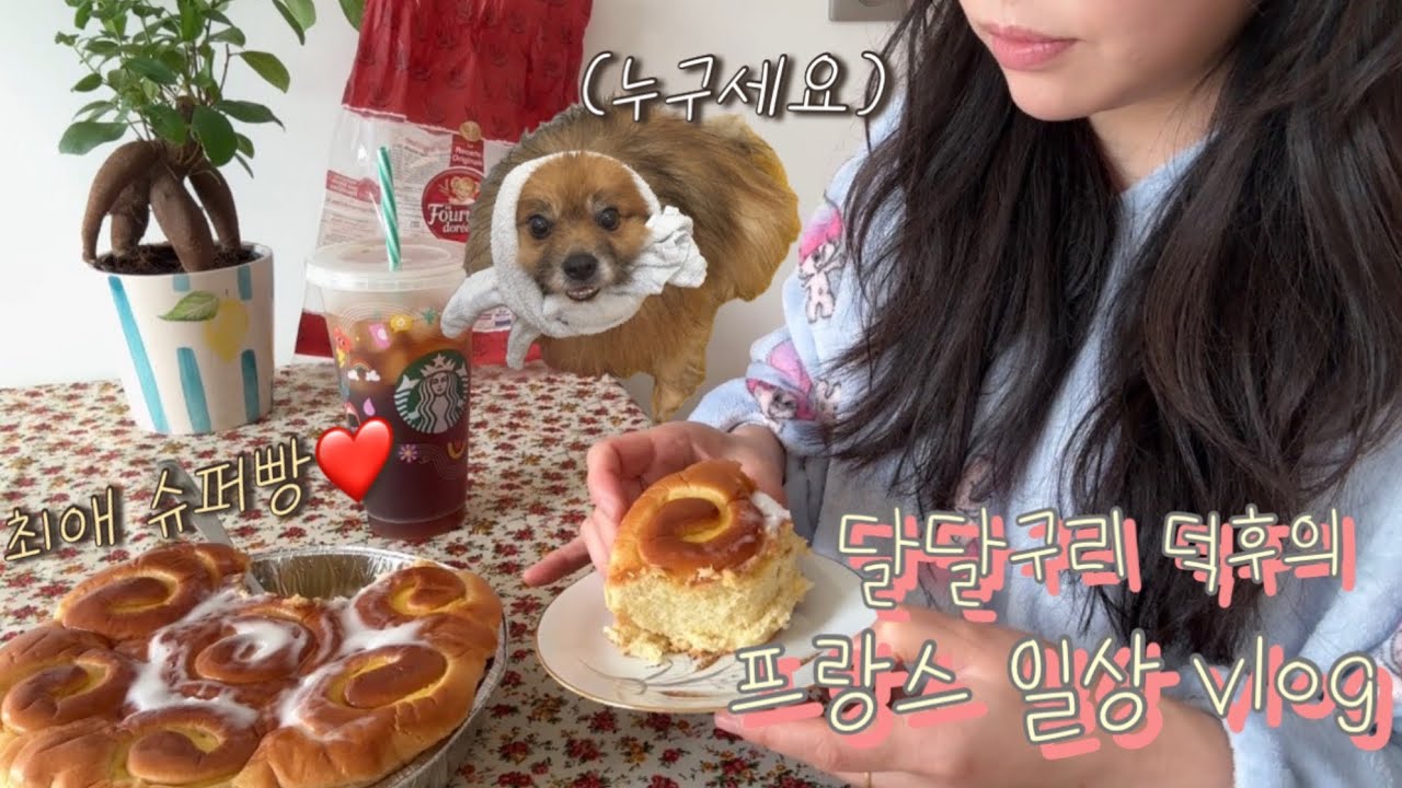 프랑스🇫🇷 vlog ♢ 프랑스 옛날 과자st, 인도 식당, 심바 목욕, 좋아하는 슈퍼 빵과 달달구리들, 날씨 좋은 날 산책