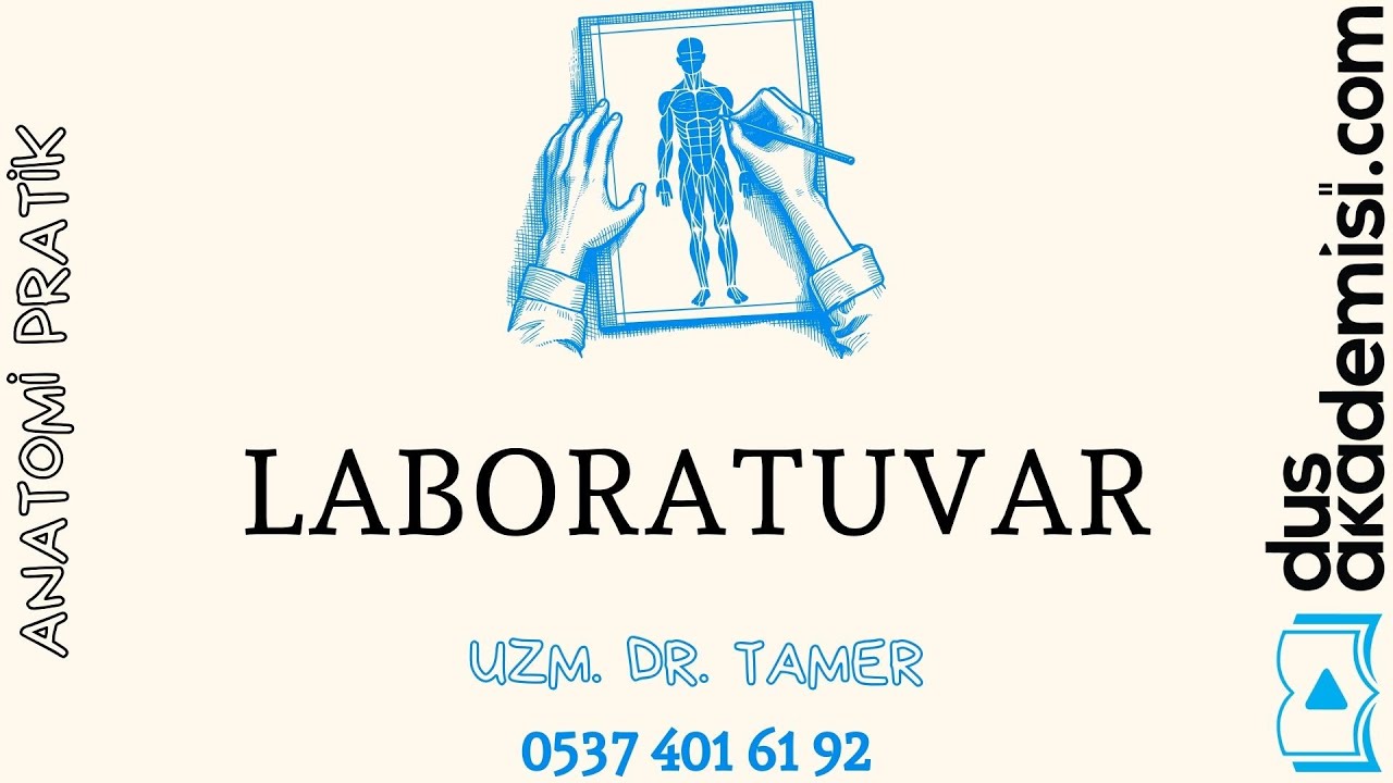 Anatomi Pratik - Vestibulum Oris - Cavitas Oris Propria - Pharynx