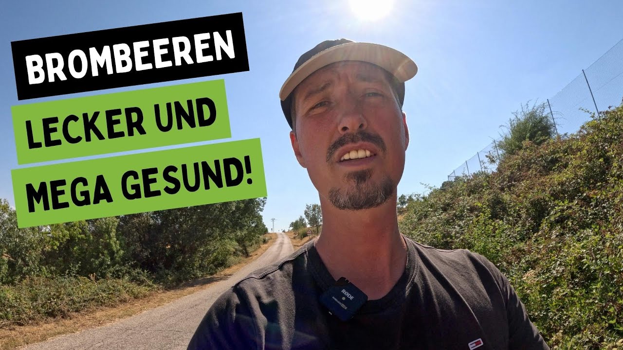 Natur pur: Brombeeren – ein Fest für Gaumen und Gesundheit!