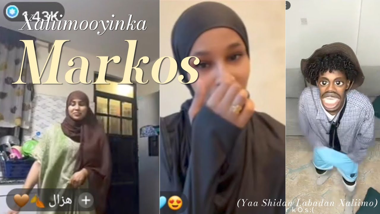Markos Ma Gudbe Miyaa Mise #markos #caanka #yolkaqoryare #yolka