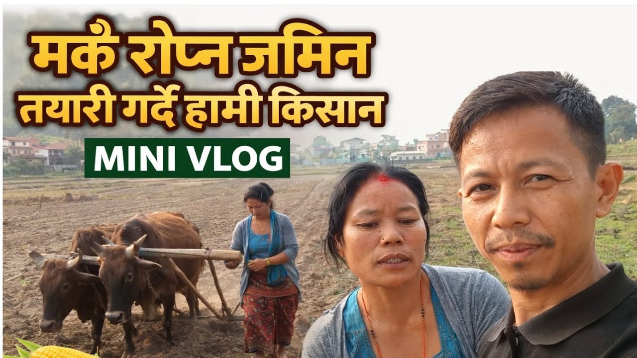 Makai ropna jamin tayar pardai (Mini vlogs)