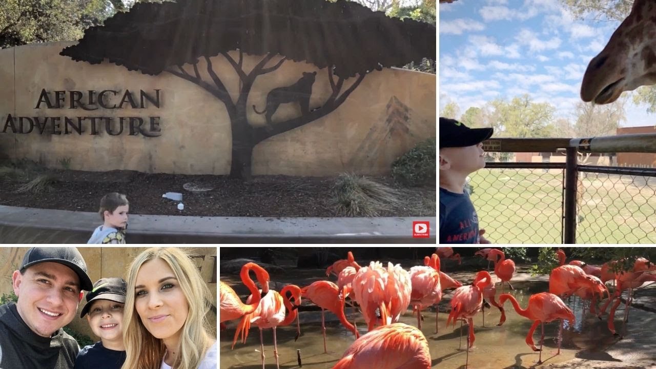 Fresno Chaffee Zoo | Stingray Bay