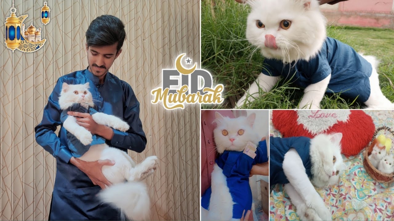 Eid special vlog with max 2023 😍|Max ki eidi 😂| Rehan & Max