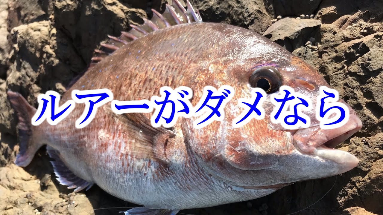プランBでいこう！