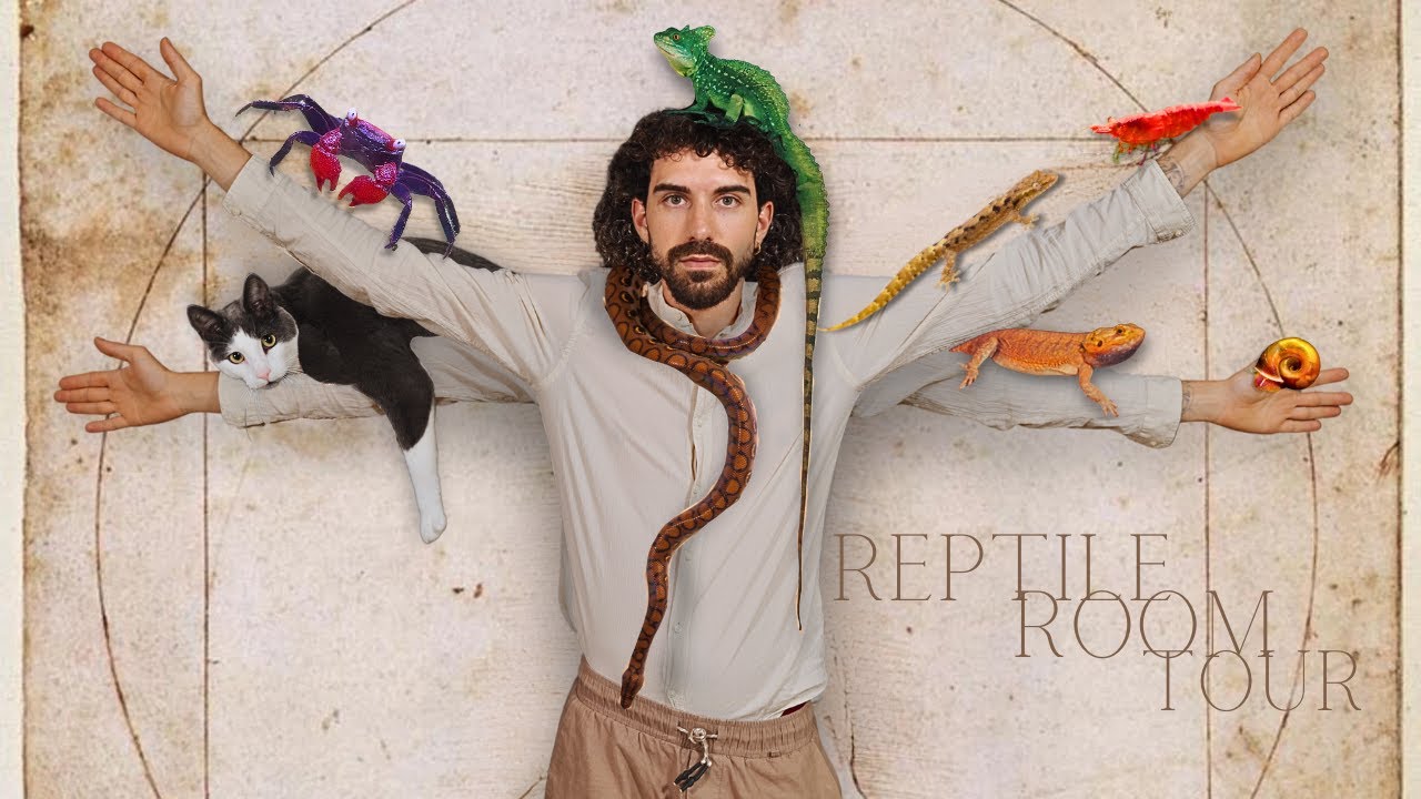 I Transformed my House Into a Reptile Paradise