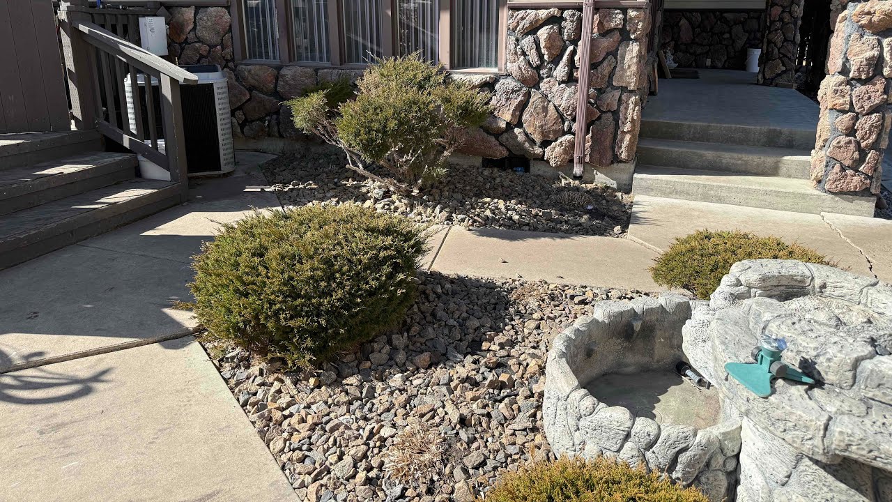 Yard Update! 2026-03-01