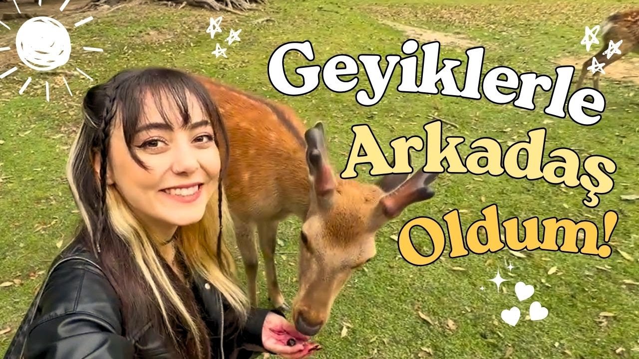 Nara Park'ta Geyiklerle Harika Bir Gün! | Osaka Gece Hayatı