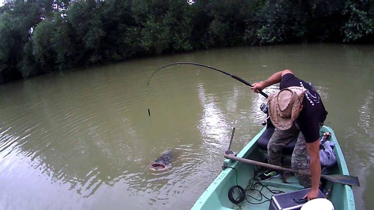 CATFISHING-2 m sumec na vábničku JP- zdolávačka / 2 metres catfish on the clonk JP - Challenge