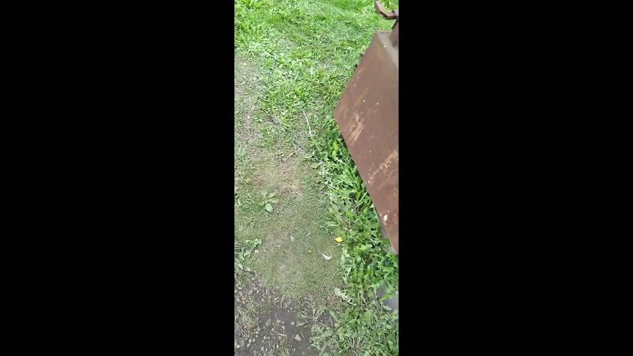 Нарезка видео из жизни