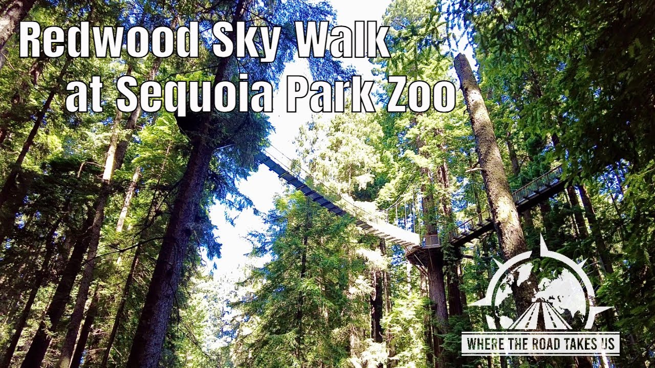 [4K] Redwood Sky Walk at Sequoia Park Zoo, Eureka, CA