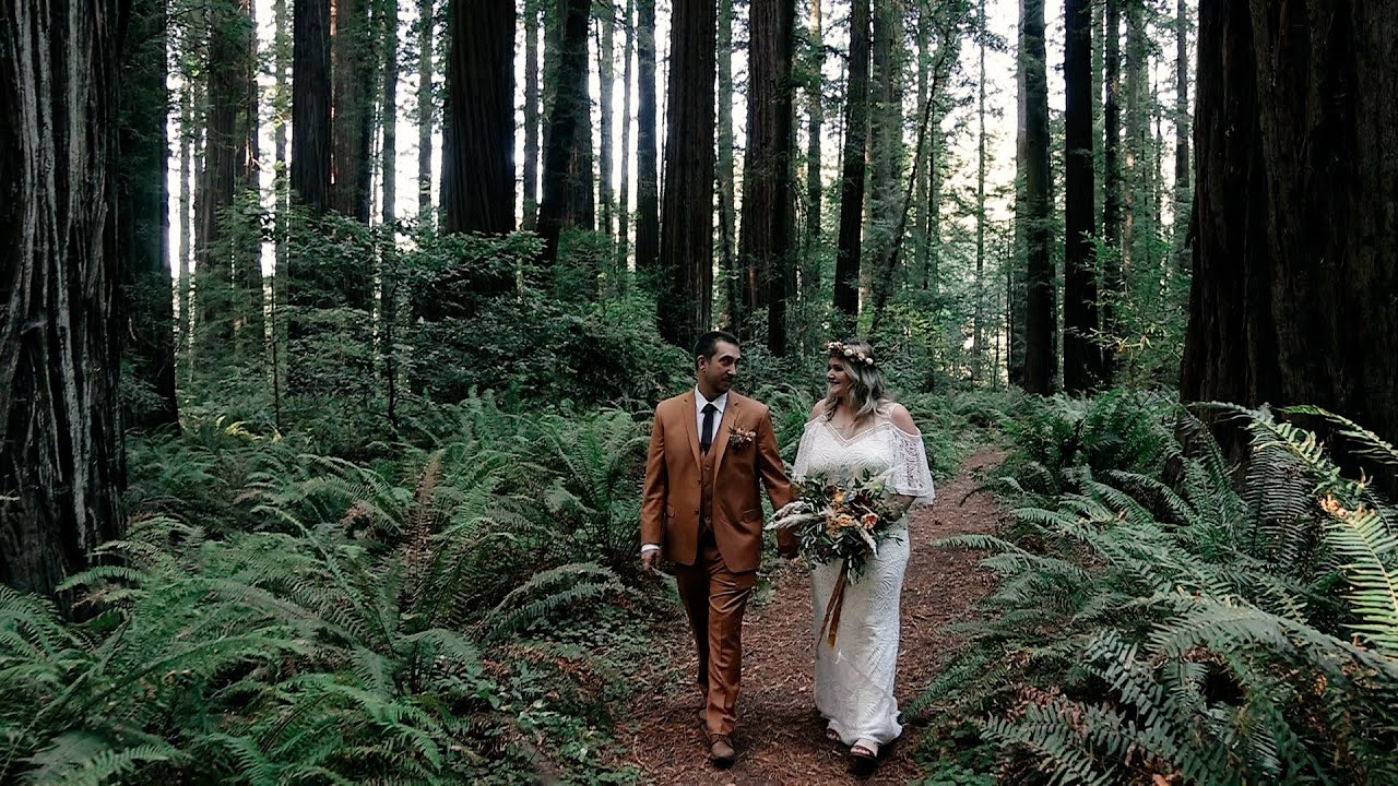 Malinda and Mako's Dreamy Redwoods Elopement