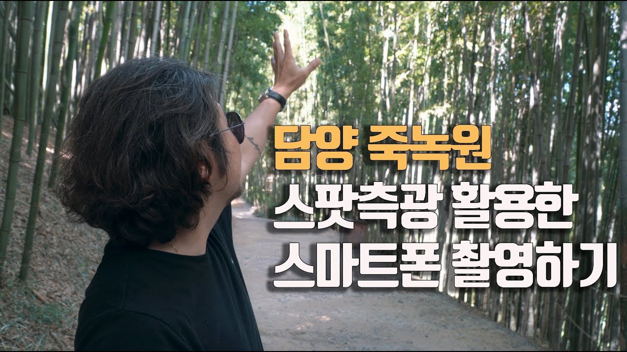 [사진강좌] 스팟측광 기능을 활용한 사진찍기 -담양 죽녹원-