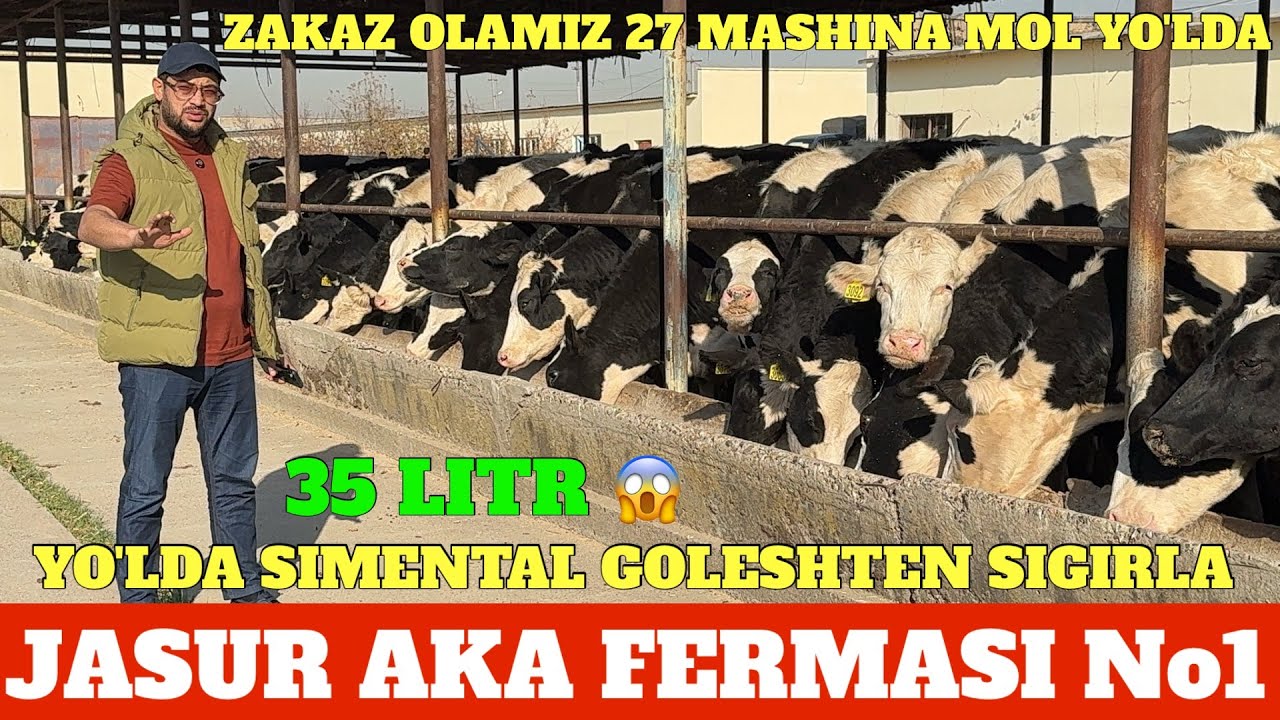 JASUR AKA FERMASI 27- MASHINA SIMENTAL GOLESHTEN JERSIY SIGIRLA ZAKAZ OLAMIZ KOTTA PARTIYA YO'LDA.