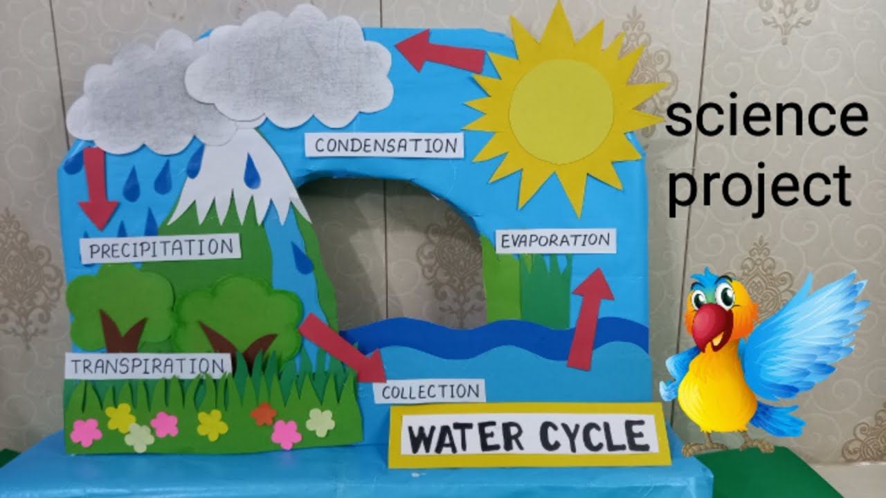 Water Cycle 3d Model/ DIY /Water Cycle Project/ Easy & Creative.