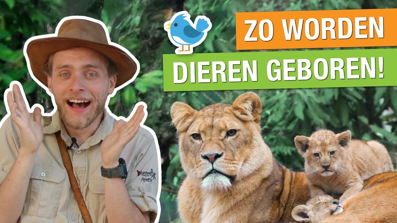 ZO WORDEN DIEREN GEBOREN! 🐘🐦 | Op pad met Niels #18