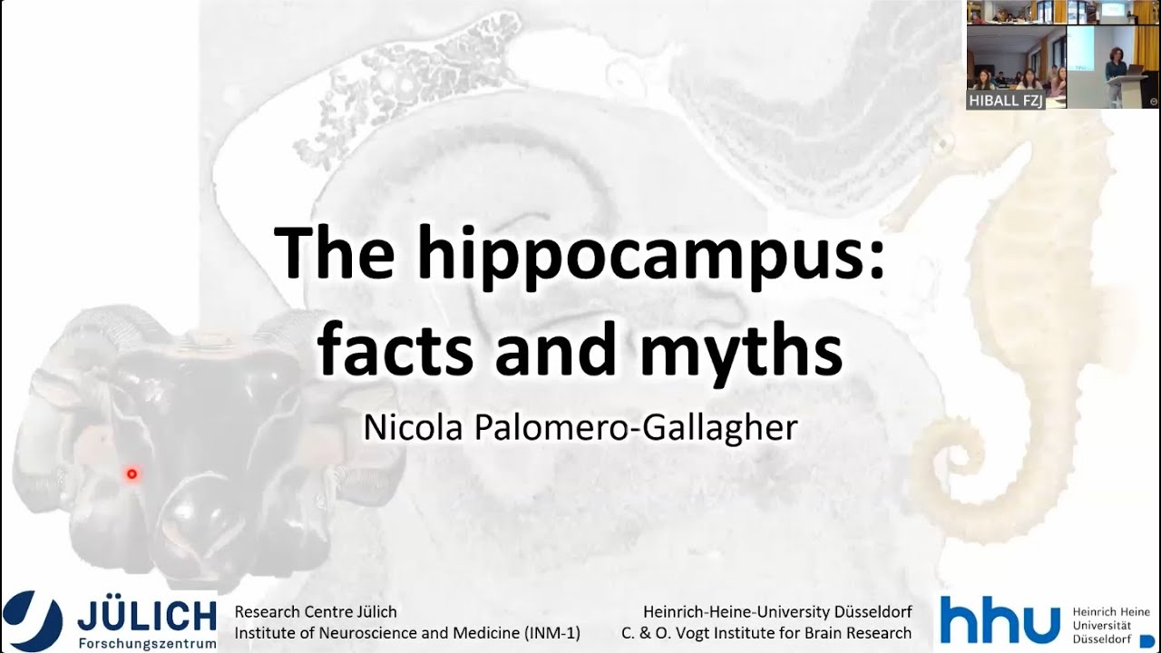 Winter School 2024 - The hippocampus: facts and myths