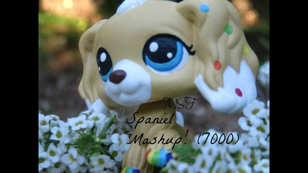 LPS: Music Mashup (7000)