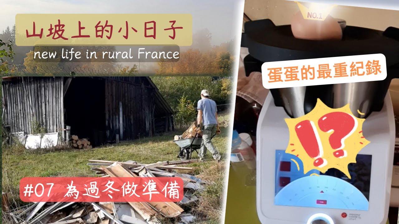#07  在山裡過冬前要做些什麼?｜砍柴清煙囪｜撿到便宜了!!!  450歐元買到可以過四年冬天的木材｜巨蛋!  只有阿梅能打敗阿梅｜ life of my pet chicken