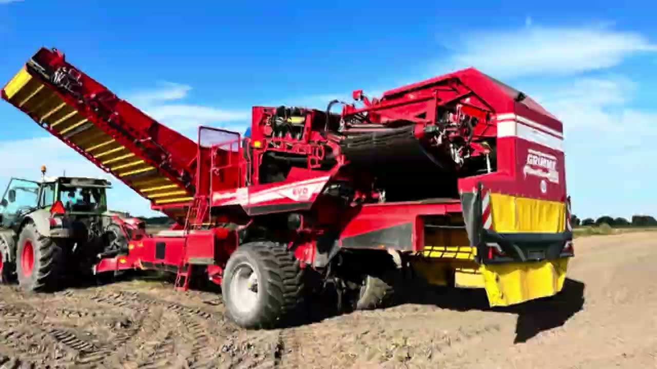 Zbiór ziemniaków jadalnych. Kombajn ziemniaczany dwurzędowy GRIMME EVO 280 z FENDT