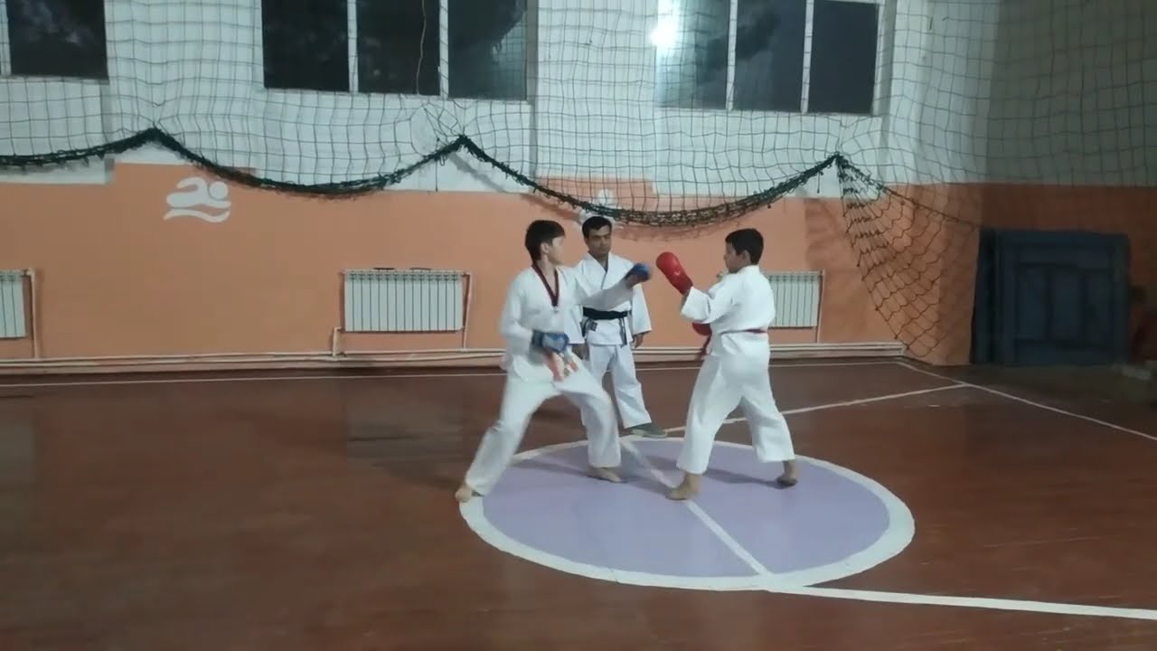 boy karate yangiyol