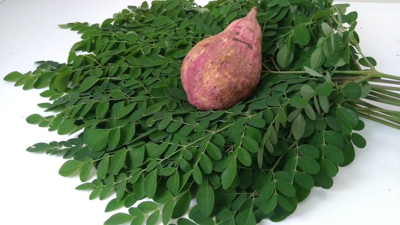 DINENGDENG | MALUNGGAY W/ KAMOTE | LUTONG PROBINSYA | BURIDIBUD |