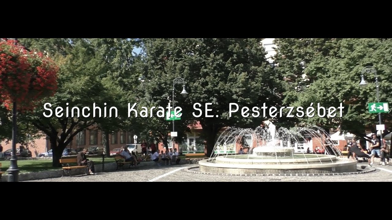 Seinchin Karate SE  Pesterzsébet, Budapest - HUNGARY - Goju ryu motivational video, movie clip 2020