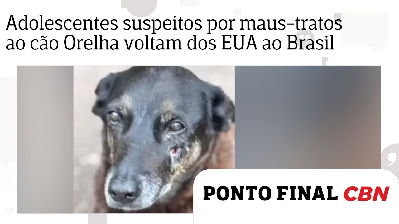 Adolescentes suspeitos por maus tratos ao cão Orelha voltam dos EUA ao Brasil