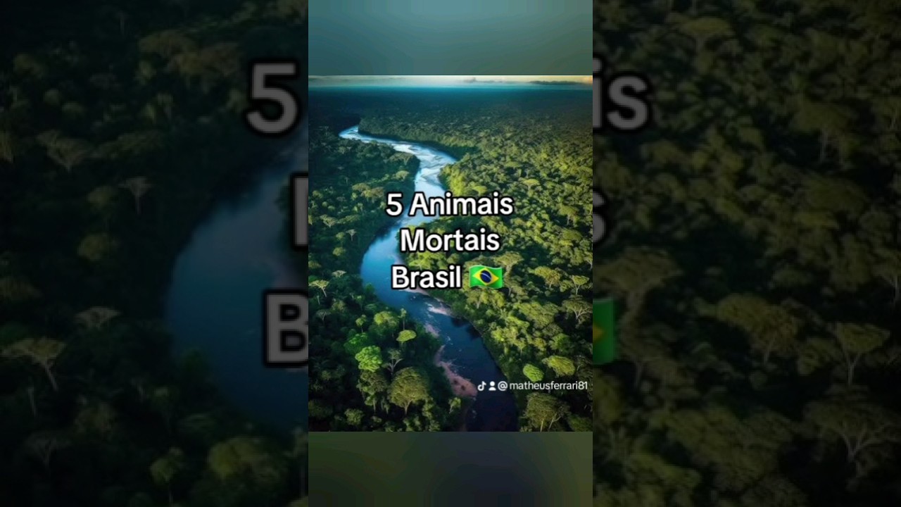 5 animais Mortais Brasil #animais #biologia #curiosidades #shorts