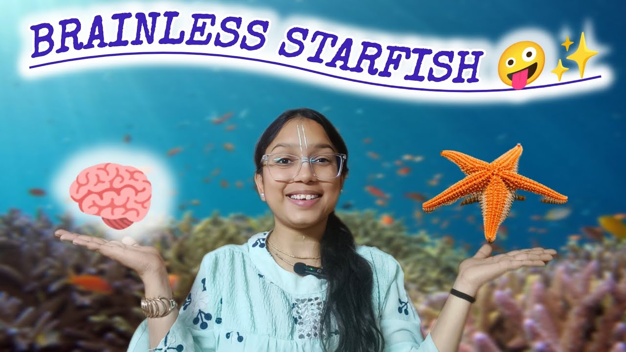 ☺️Interesting facts about Starfish | Know about Starfish in detail | #radheshyammam #education