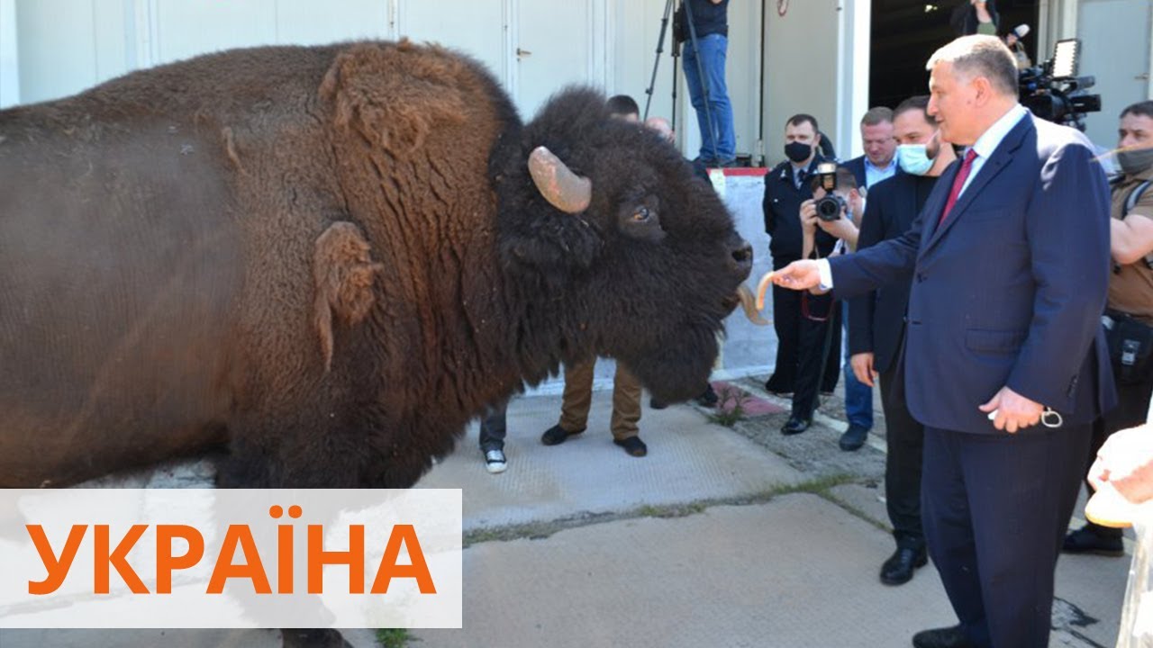 На заводе по изготовлению взрывчатки для украинских ракет живут бизоны, олени и кабаны
