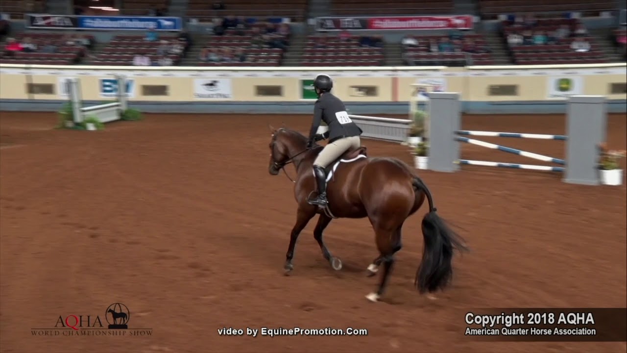2018 AQHA Junior Working Hunter