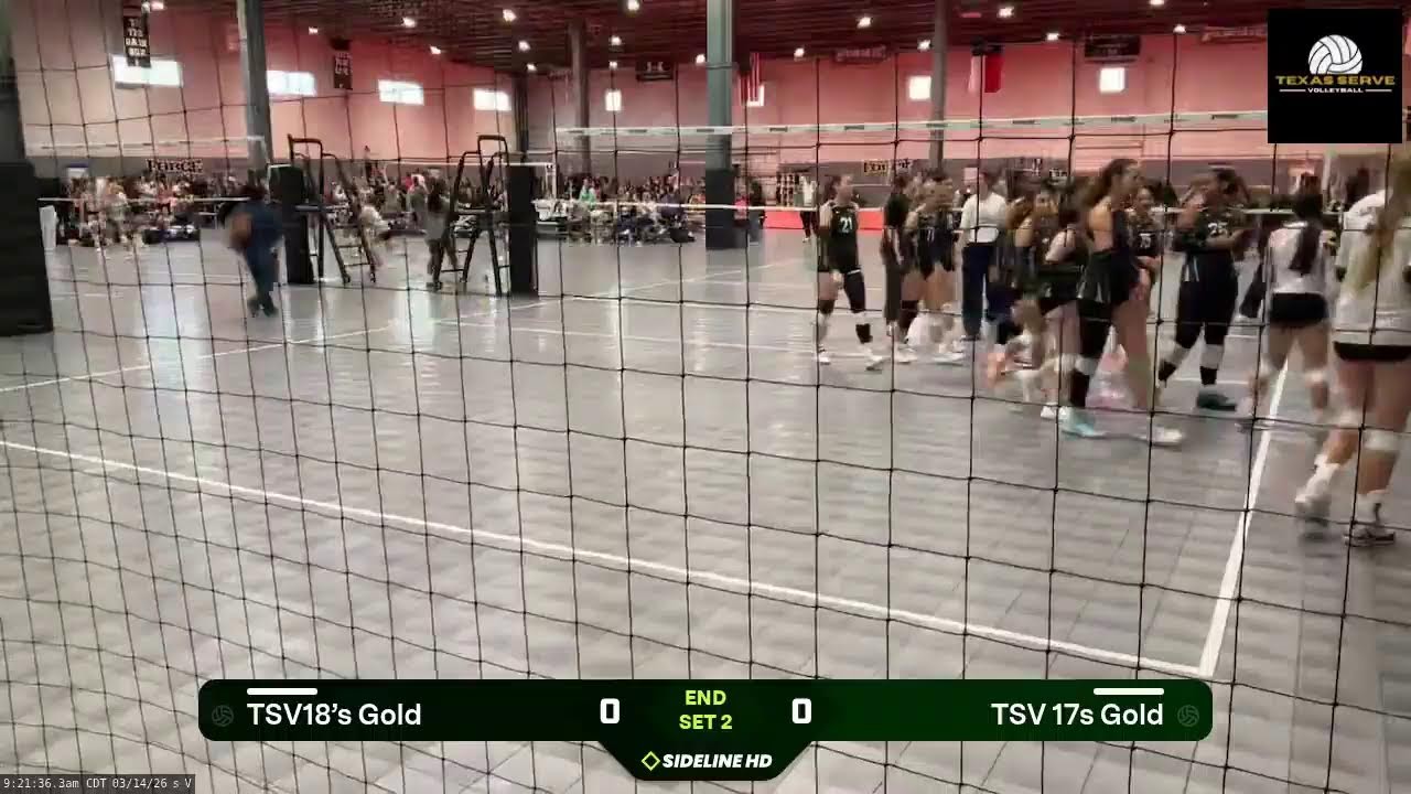 TSV 17s Gold vs. TSV18’s Gold (2026.03.14)