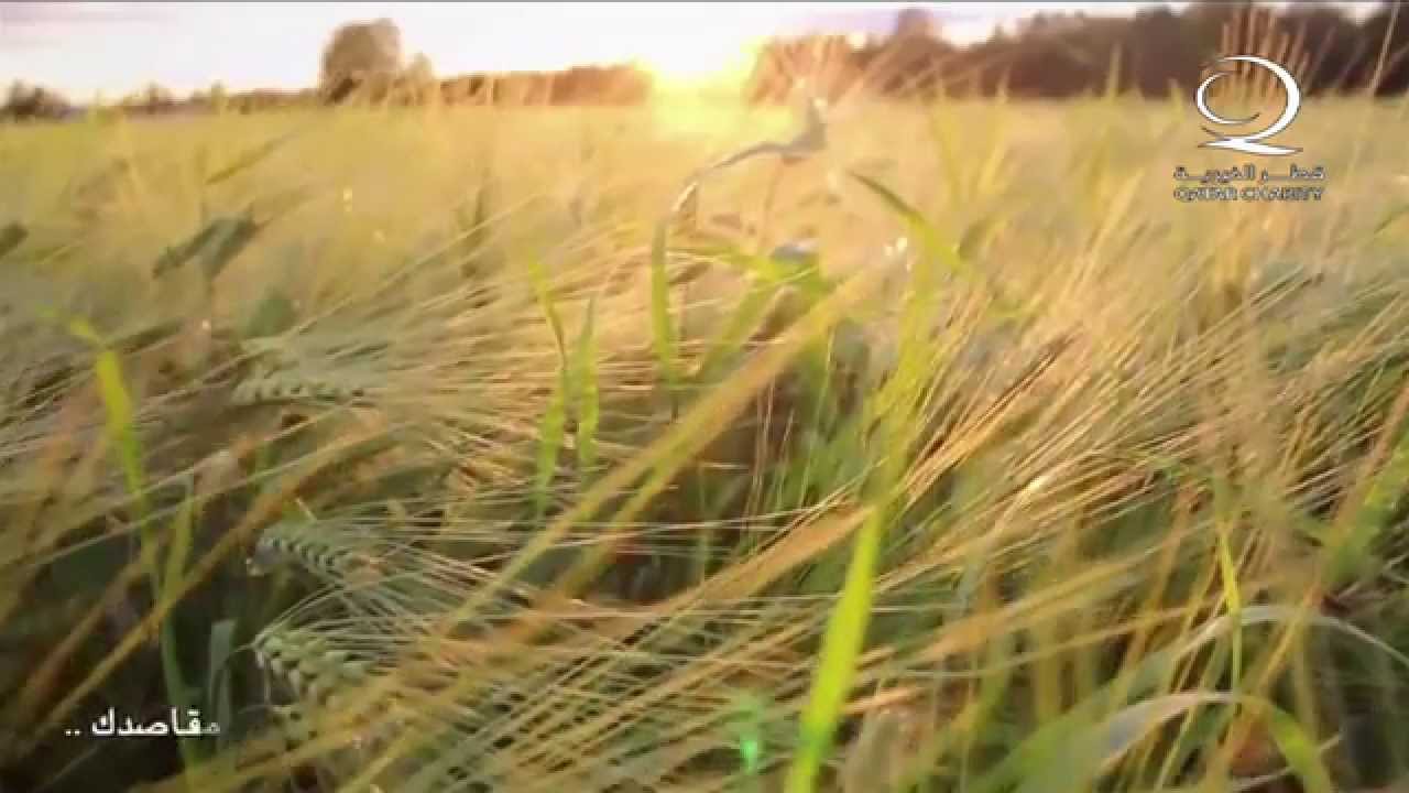هذا ربنا الواحد تعلقت القلوب به .. بصوت الشيخ نبيل العوضي