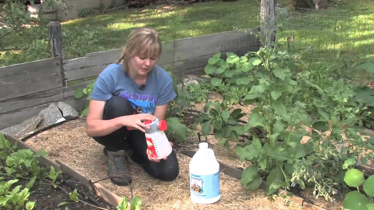 Using a Liquid Sprayer to Apply Neptune's Harvest