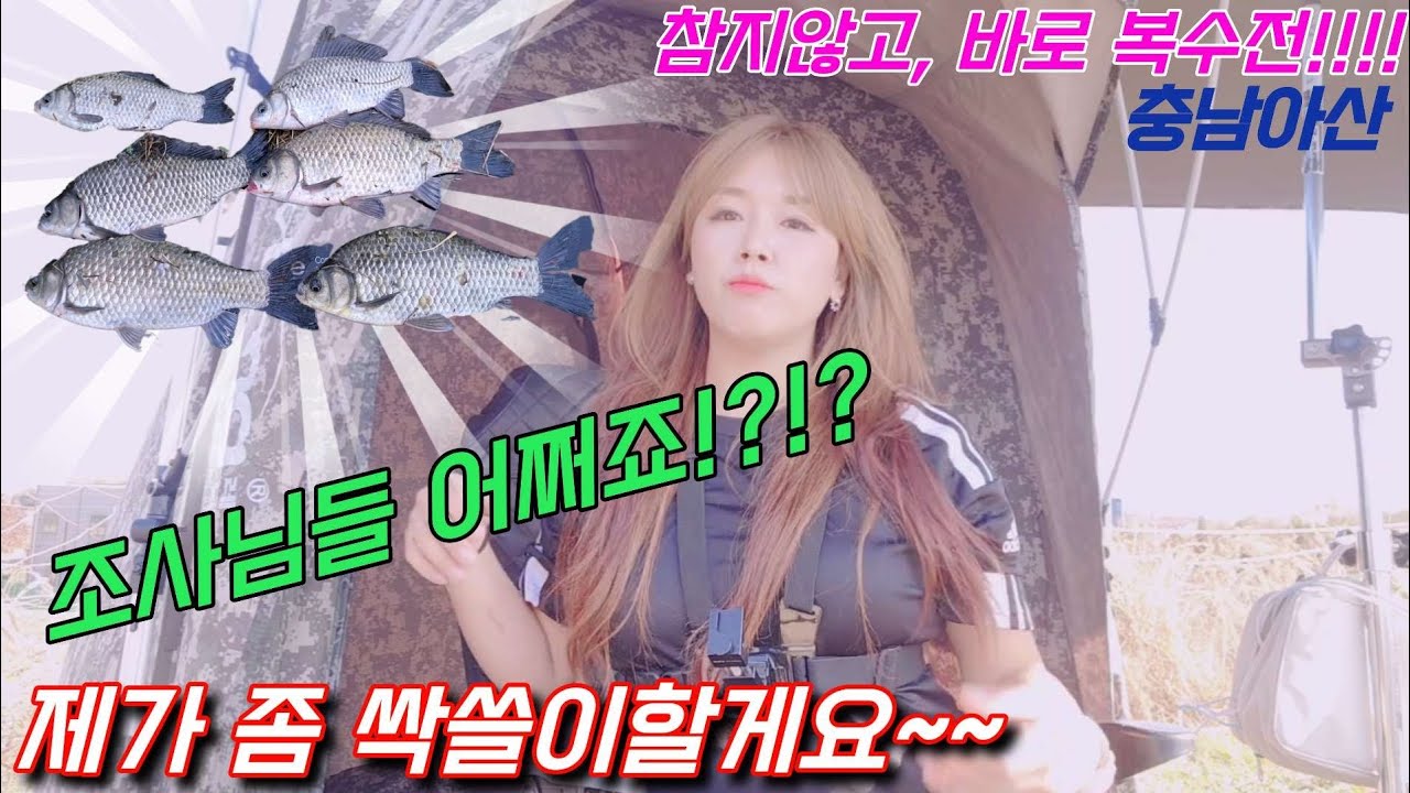 ⚠️참지않고다시도전!!⚠️ 조사님들, 제가 좀 쓸어갈게요!!!😝 #충남낚시#충남저수지#fishing#DIF무전무패골드#호봉파라솔#붕어낚시#여조사#낚시#노지낚시#대불터#저수지낚시