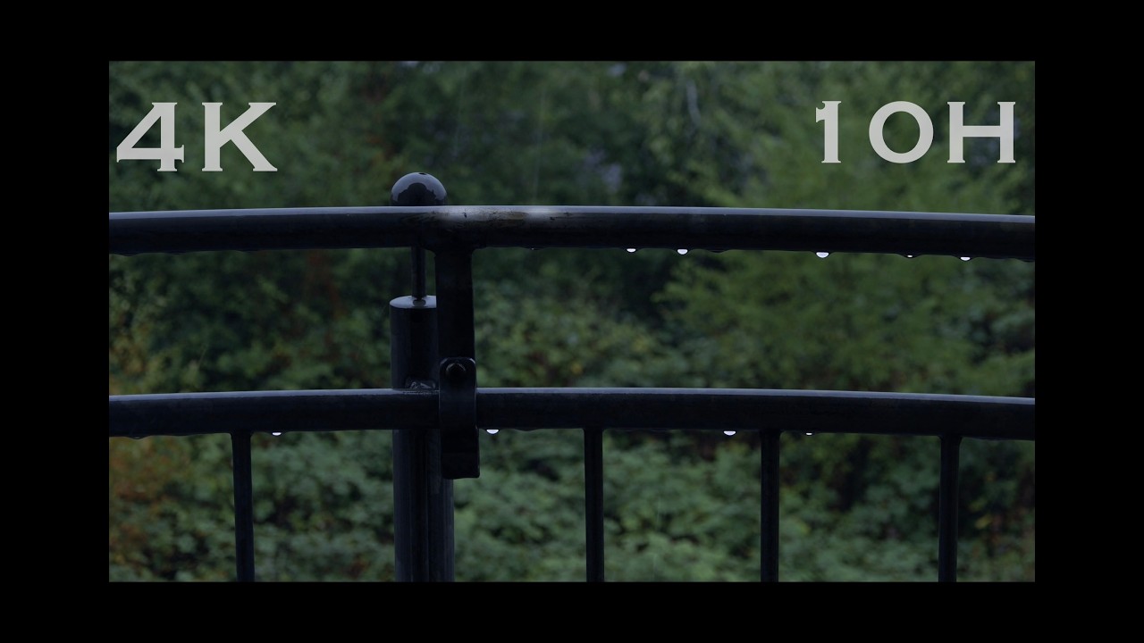 Rain in Forest Park With Lush Green Trees | UHD 4K - 10 Hours of Deep Relaxation  #rain #nature