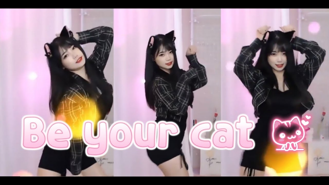 비유어캣(Be your cat) 댄스리액션