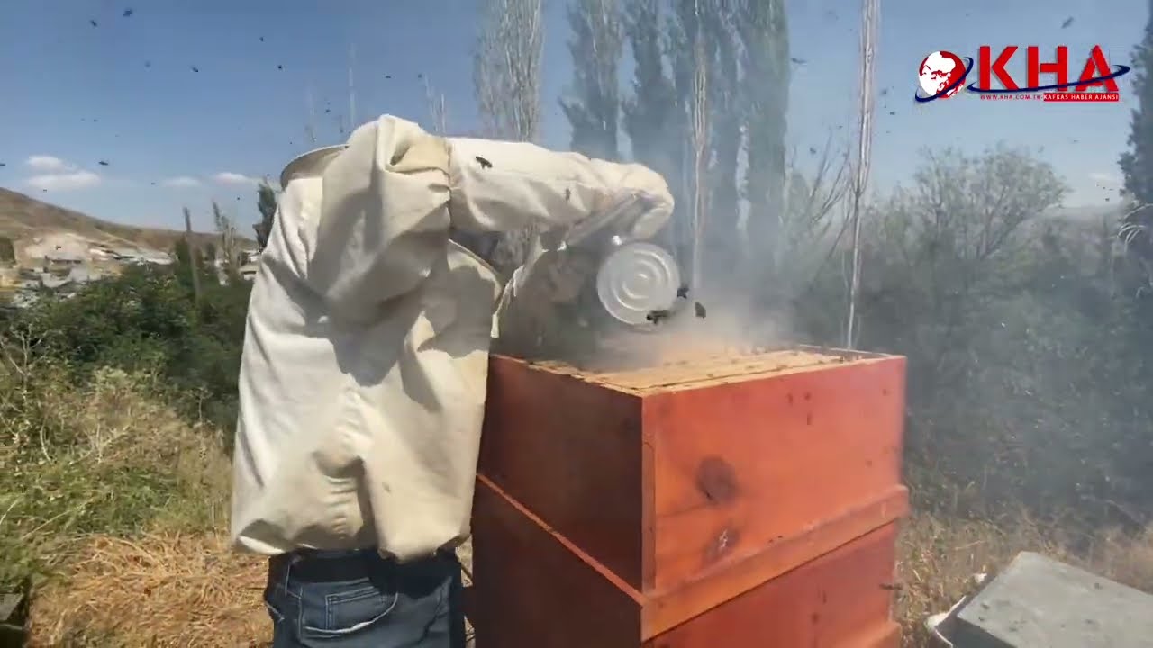 Doğu Anadolu’da bal hasadı