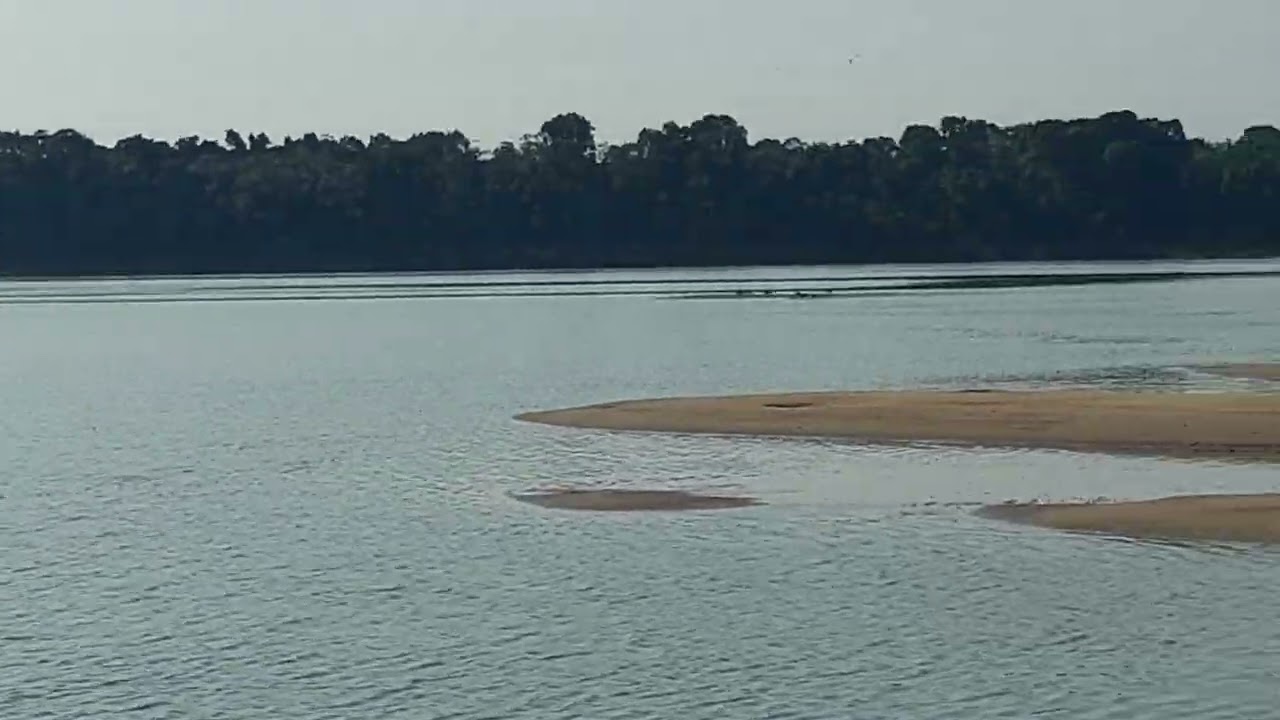 Quando come&ccedil;a seca na Amaz&ocirc;nia e assaim praia lindas isso Rio purus Amazonas munic&iacute;pio de tapaua