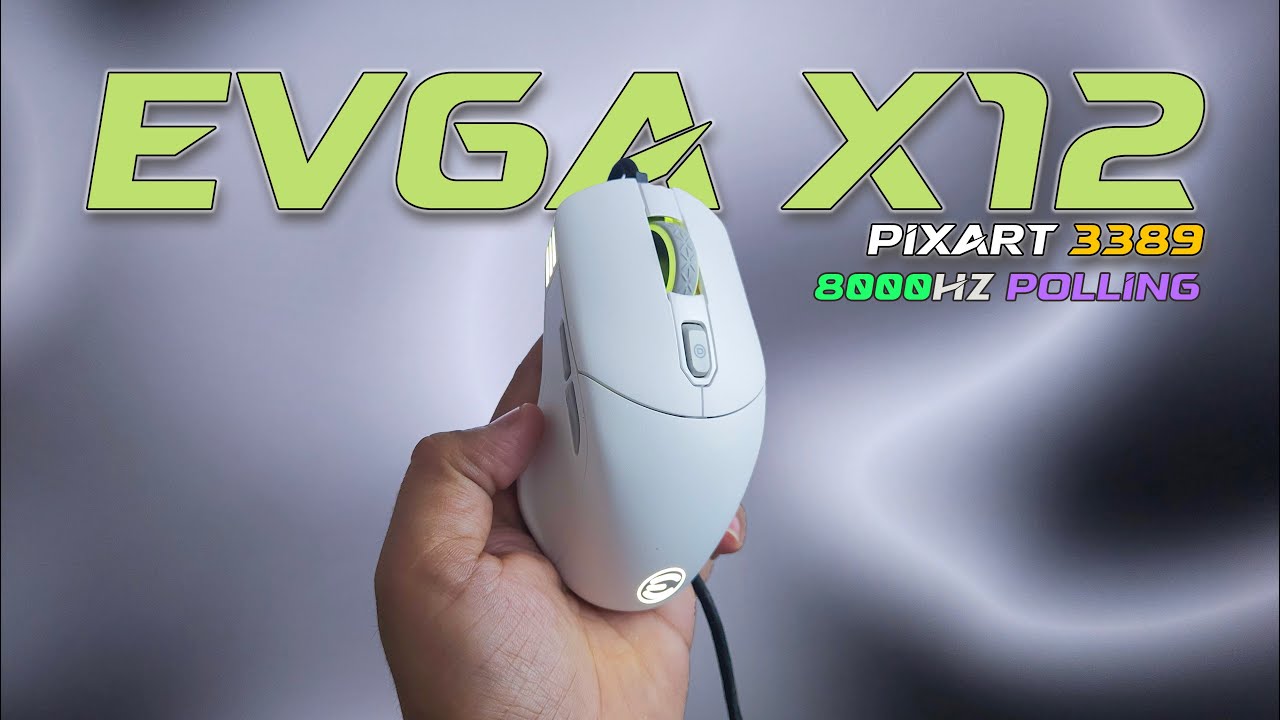 I Used the EVGA X12 Gaming Mouse for 40 Days | Here's My Surprising Verdict